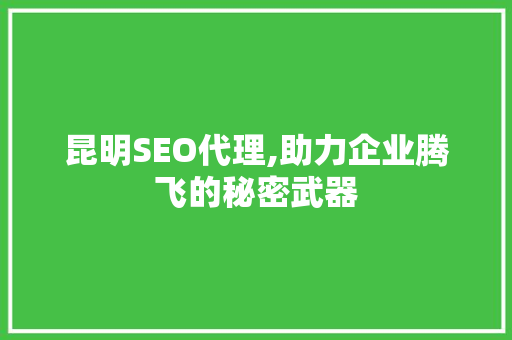 昆明SEO代理,助力企业腾飞的秘密武器