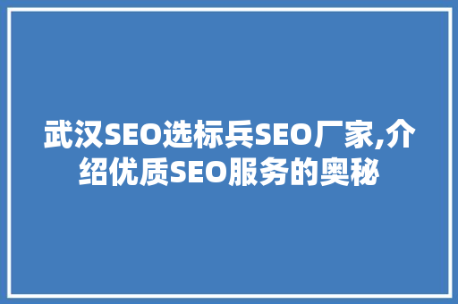 武汉SEO选标兵SEO厂家,介绍优质SEO服务的奥秘