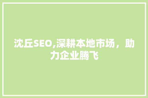 沈丘SEO,深耕本地市场，助力企业腾飞
