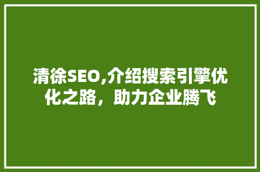 清徐SEO,介绍搜索引擎优化之路，助力企业腾飞