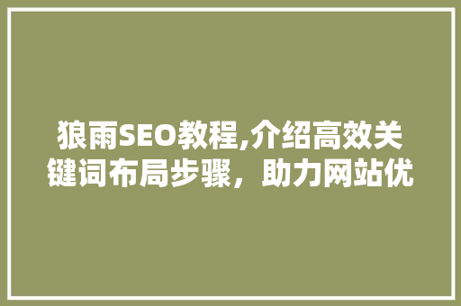 狼雨SEO教程,介绍高效关键词布局步骤，助力网站优化