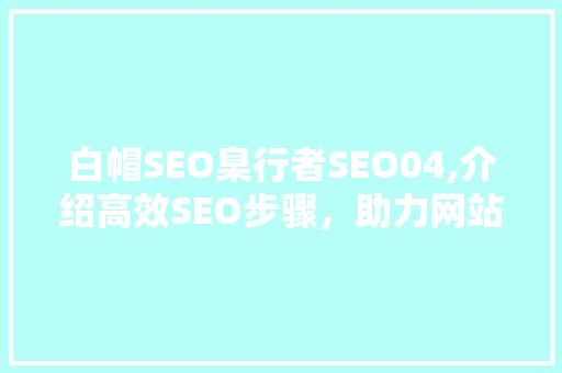 白帽SEO臬行者SEO04,介绍高效SEO步骤，助力网站优化之路