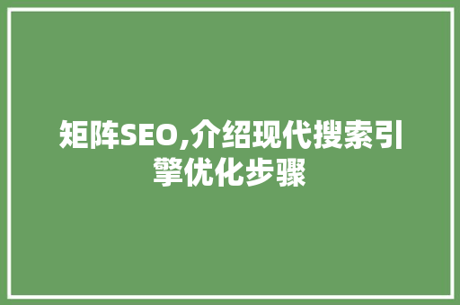 矩阵SEO,介绍现代搜索引擎优化步骤