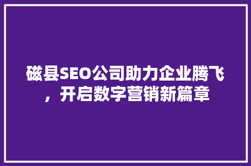 磁县SEO公司助力企业腾飞，开启数字营销新篇章