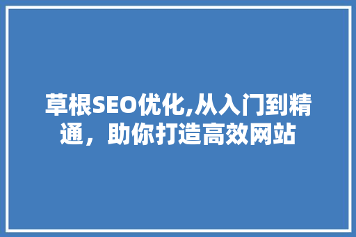 草根SEO优化,从入门到精通，助你打造高效网站  第1张