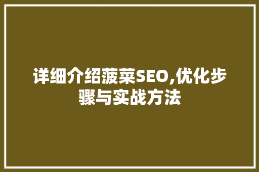 详细介绍菠菜SEO,优化步骤与实战方法  第1张