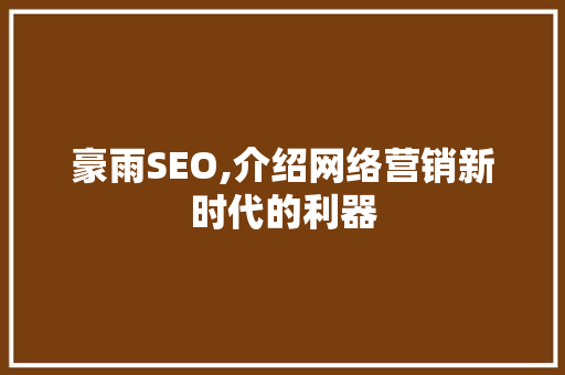豪雨SEO,介绍网络营销新时代的利器