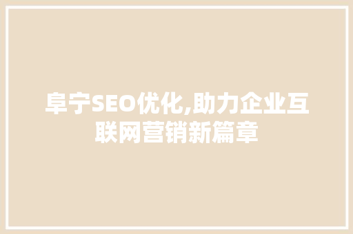 阜宁SEO优化,助力企业互联网营销新篇章