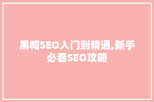 黑帽SEO入门到精通,新手必看SEO攻略