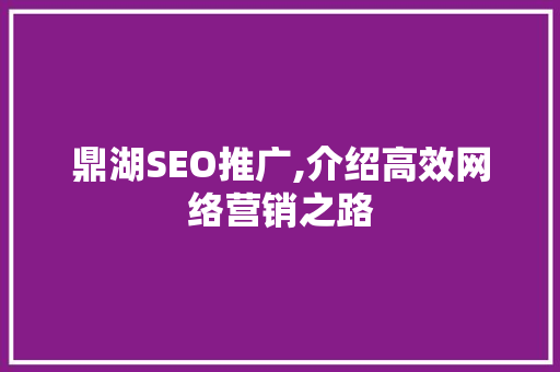 鼎湖SEO推广,介绍高效网络营销之路  第1张