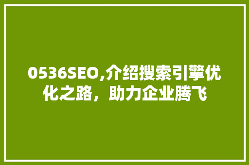 0536SEO,介绍搜索引擎优化之路，助力企业腾飞