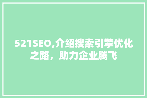 521SEO,介绍搜索引擎优化之路，助力企业腾飞