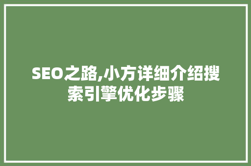 SEO之路,小方详细介绍搜索引擎优化步骤