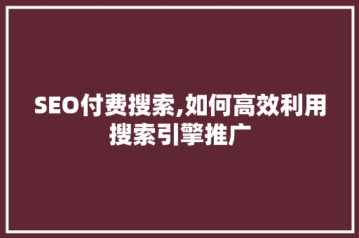 SEO付费搜索,如何高效利用搜索引擎推广  第1张