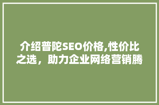 介绍普陀SEO价格,性价比之选，助力企业网络营销腾飞