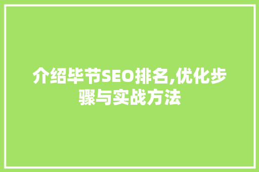 介绍毕节SEO排名,优化步骤与实战方法
