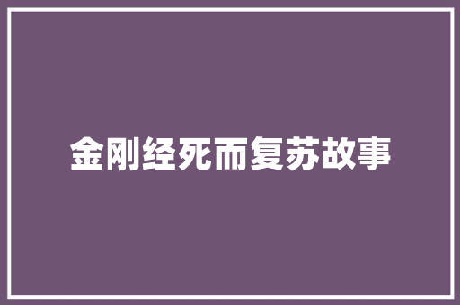北碚区SEO推广,打造本地企业线上品牌新高度