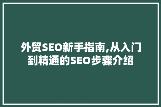 外贸SEO新手指南,从入门到精通的SEO步骤介绍