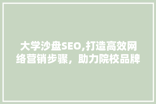 大学沙盘SEO,打造高效网络营销步骤，助力院校品牌崛起  第1张