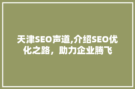 天津SEO声道,介绍SEO优化之路，助力企业腾飞