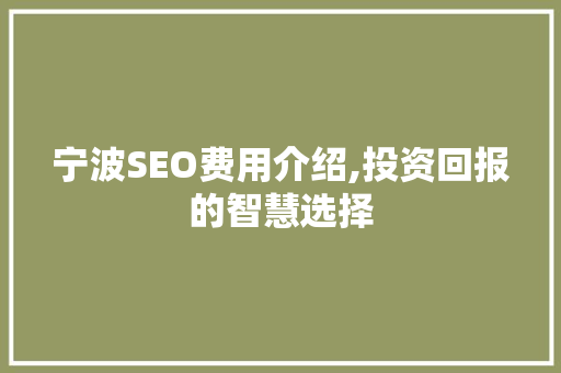 宁波SEO费用介绍,投资回报的智慧选择