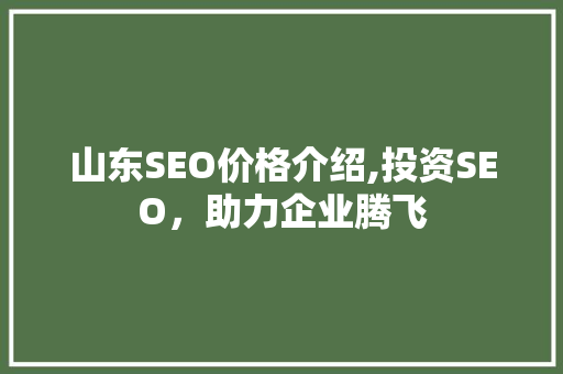 山东SEO价格介绍,投资SEO，助力企业腾飞