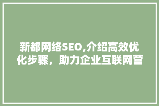 新都网络SEO,介绍高效优化步骤，助力企业互联网营销腾飞