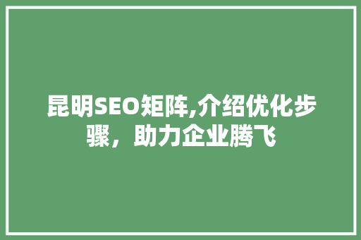 昆明SEO矩阵,介绍优化步骤，助力企业腾飞  第1张