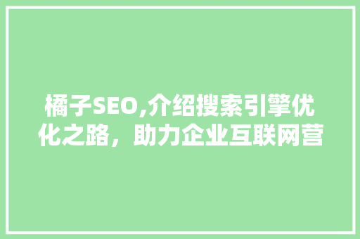 橘子SEO,介绍搜索引擎优化之路，助力企业互联网营销