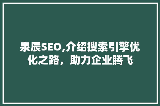 泉辰SEO,介绍搜索引擎优化之路，助力企业腾飞  第1张