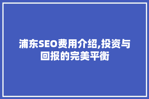 浦东SEO费用介绍,投资与回报的完美平衡
