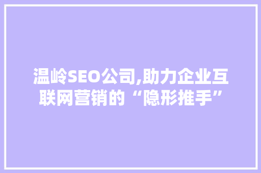 温岭SEO公司,助力企业互联网营销的“隐形推手”