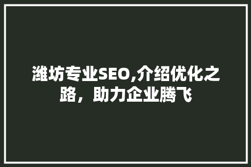 潍坊专业SEO,介绍优化之路，助力企业腾飞