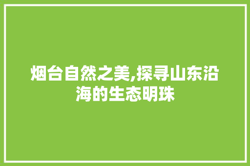 烟台自然之美,探寻山东沿海的生态明珠