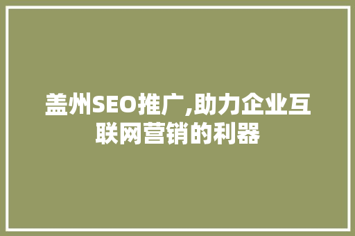 盖州SEO推广,助力企业互联网营销的利器