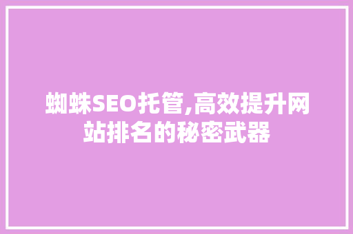 蜘蛛SEO托管,高效提升网站排名的秘密武器