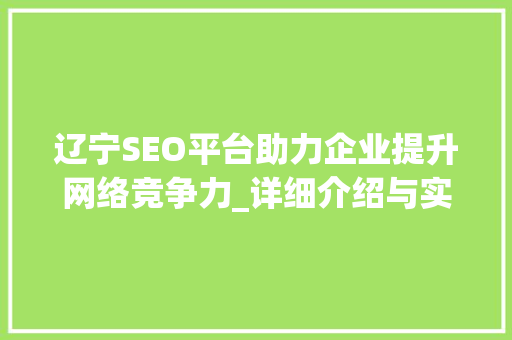 辽宁SEO平台助力企业提升网络竞争力_详细介绍与实战例子分享