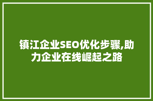 镇江企业SEO优化步骤,助力企业在线崛起之路