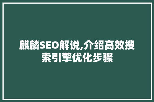 麒麟SEO解说,介绍高效搜索引擎优化步骤