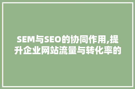 SEM与SEO的协同作用,提升企业网站流量与转化率的方法  第1张