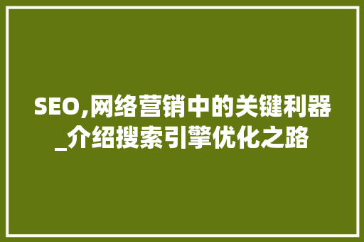 SEO,网络营销中的关键利器_介绍搜索引擎优化之路  第1张