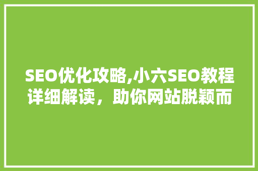 SEO优化攻略,小六SEO教程详细解读，助你网站脱颖而出