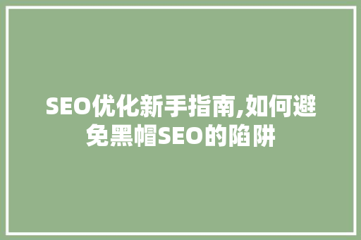 SEO优化新手指南,如何避免黑帽SEO的陷阱