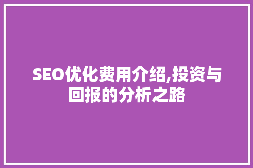 SEO优化费用介绍,投资与回报的分析之路