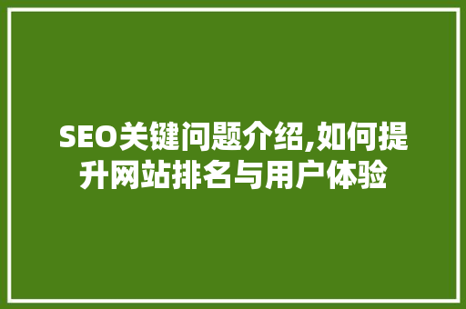 SEO关键问题介绍,如何提升网站排名与用户体验