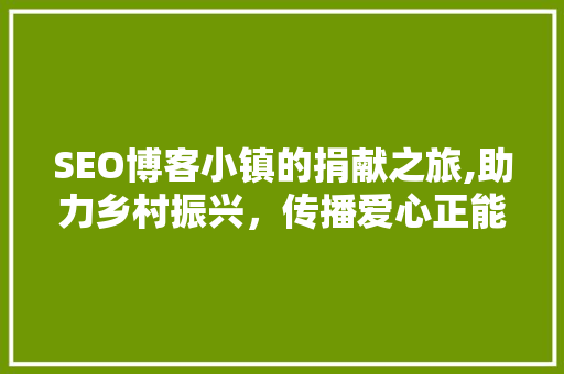 SEO博客小镇的捐献之旅,助力乡村振兴，传播爱心正能量
