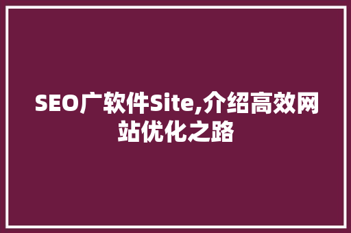SEO广软件Site,介绍高效网站优化之路
