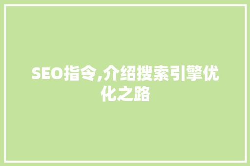 SEO指令,介绍搜索引擎优化之路