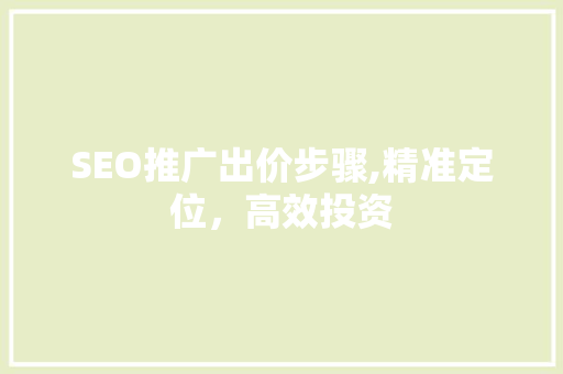 SEO推广出价步骤,精准定位，高效投资