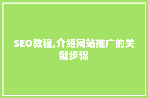 SEO教程,介绍网站推广的关键步骤